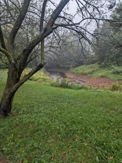 Trout Brook Trail - West Hartford, CT