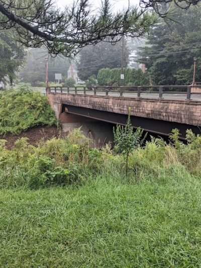 Trout Brook Trail - West Hartford, CT