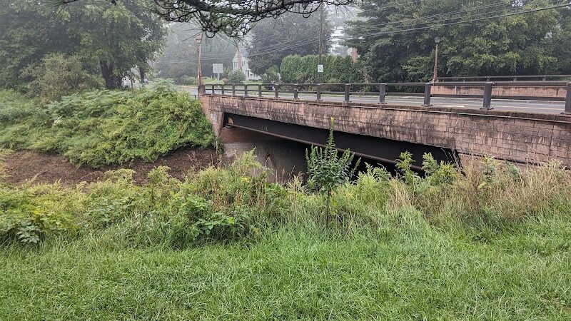 Trout Brook Trail - West Hartford, CT
