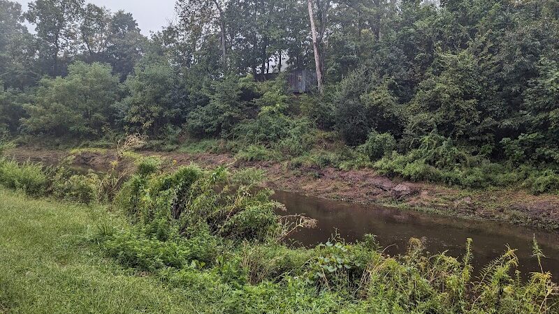 Trout Brook Trail - West Hartford, CT