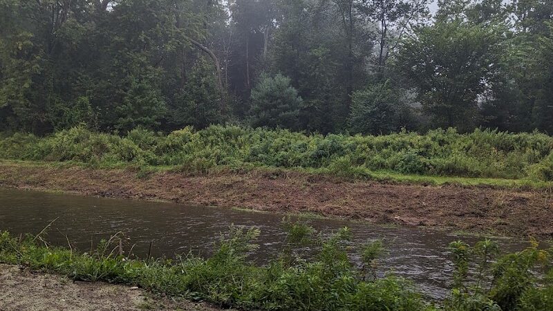 Trout Brook Trail - West Hartford, CT