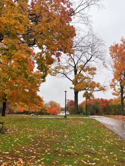 Wolcott Park - West Hartford, CT