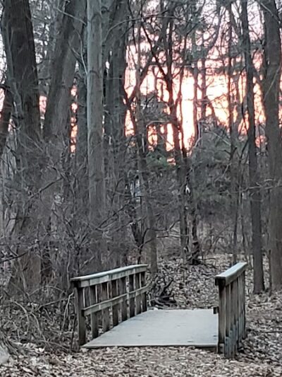 Wolcott Park - West Hartford, CT