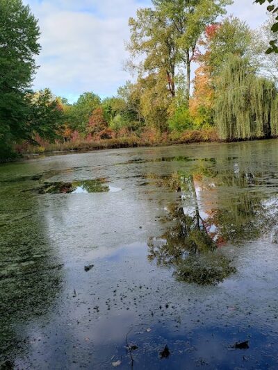 Wolcott Park - West Hartford, CT