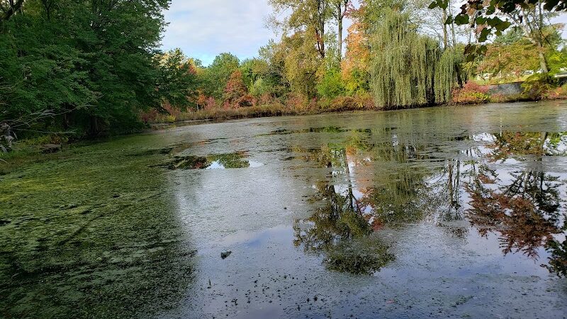 Wolcott Park - West Hartford, CT
