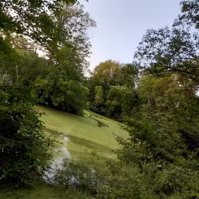 Elizabeth Park Conservancy - West Hartford, CT