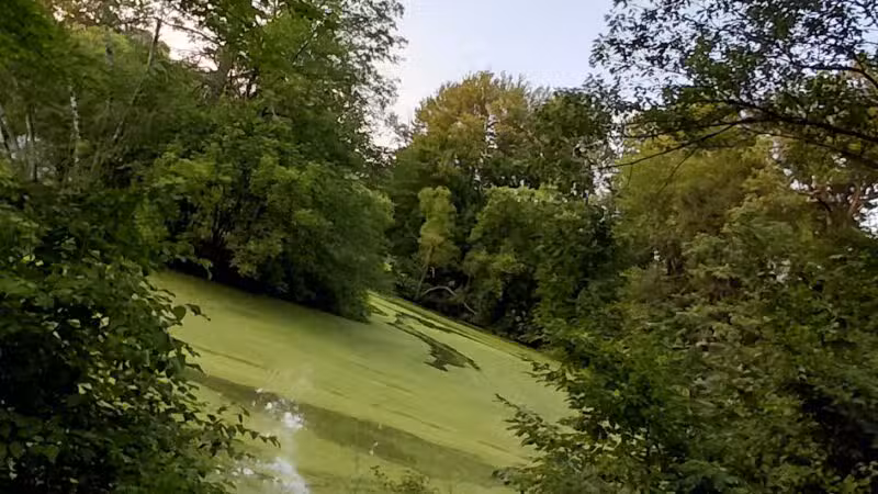 Elizabeth Park Conservancy - West Hartford, CT