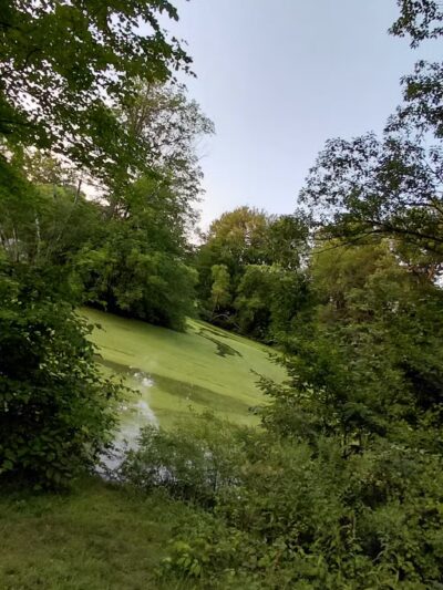 Elizabeth Park Conservancy - West Hartford, CT