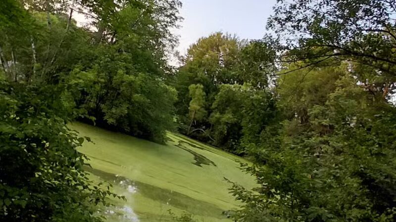 Elizabeth Park Conservancy - West Hartford, CT