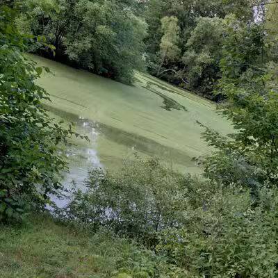 Elizabeth Park Conservancy - West Hartford, CT