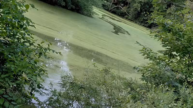 Elizabeth Park Conservancy - West Hartford, CT