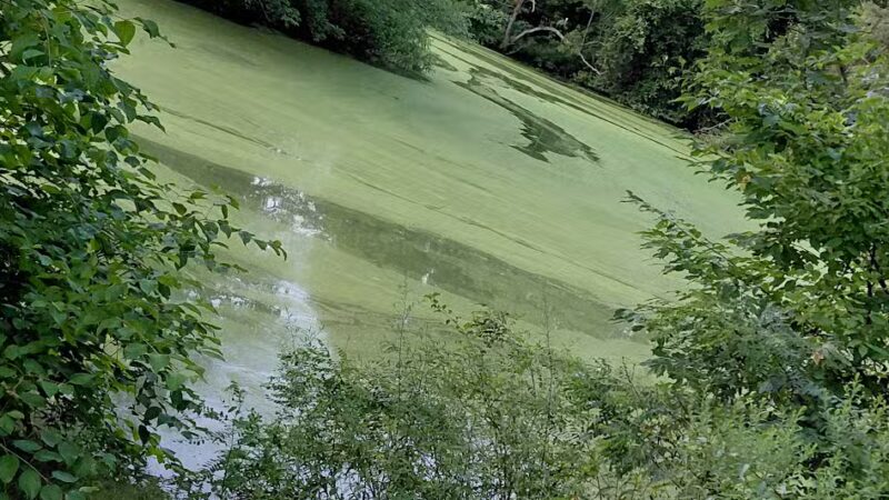 Elizabeth Park Conservancy - West Hartford, CT