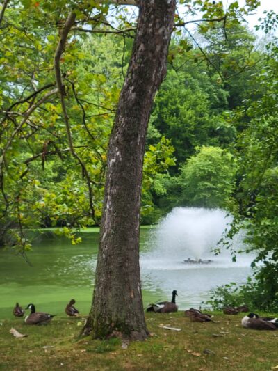 Elizabeth Park Walbridge Street / John A. Keane Memorial Arch Entrance - West Hartford, CT