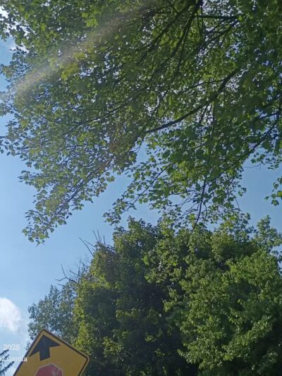 Kennedy Memorial Park Pool - West Hartford, CT