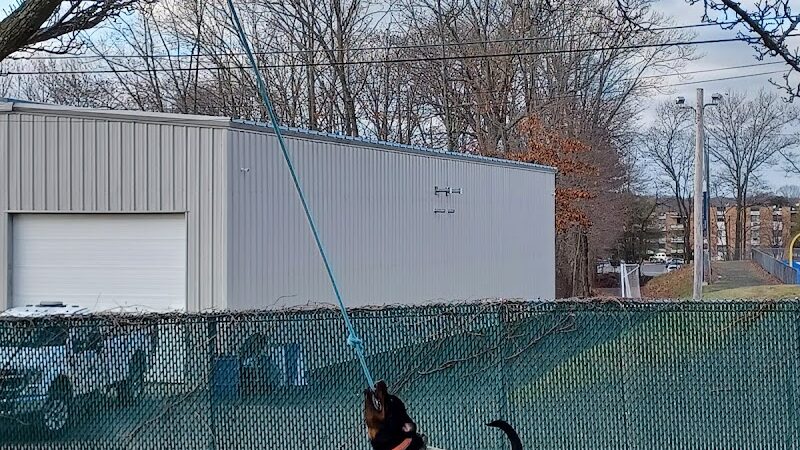 Veterans Memorial Dog Park - West Haven, CT