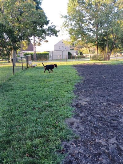Veterans Memorial Dog Park - West Haven, CT