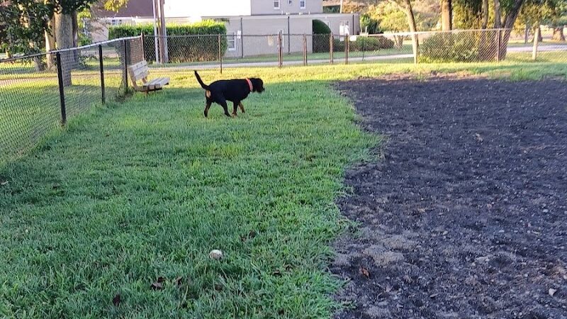Veterans Memorial Dog Park - West Haven, CT