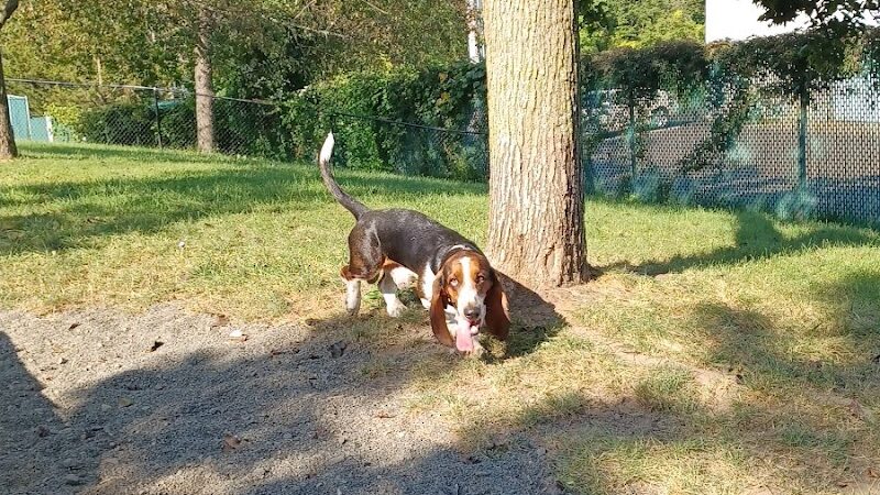 Veterans Memorial Dog Park - West Haven, CT