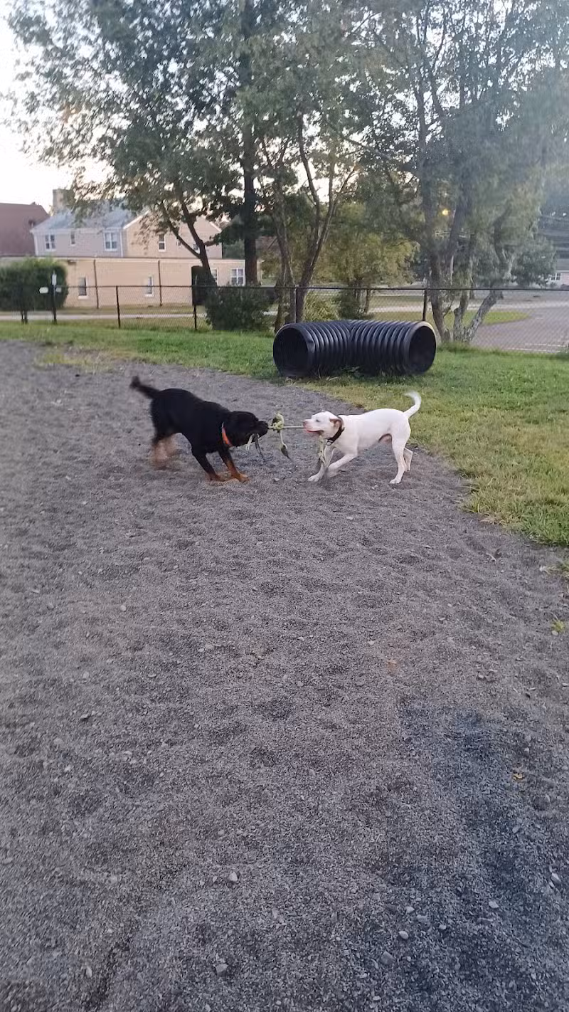 Veterans Memorial Dog Park - West Haven, CT