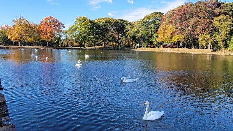 Hempstead Lake State Park - West Hempstead, NY