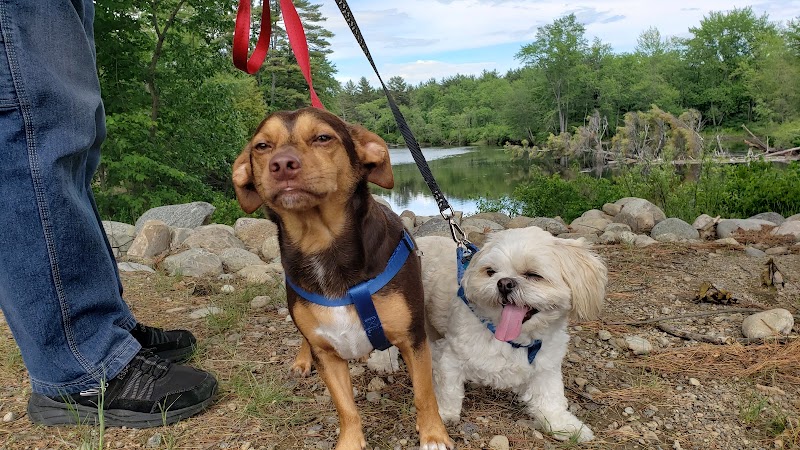 West Hempstead Animal Hospital - West Hempstead, NY