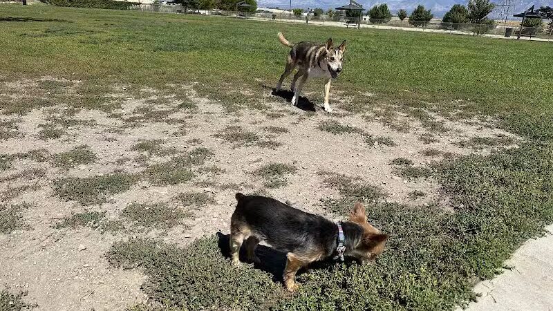West Jordan Off-Leash Dog Park - West Jordan, UT