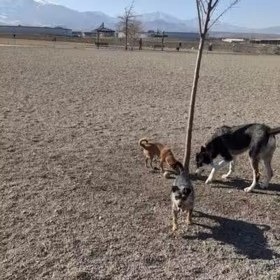 West Jordan Off-Leash Dog Park - West Jordan, UT