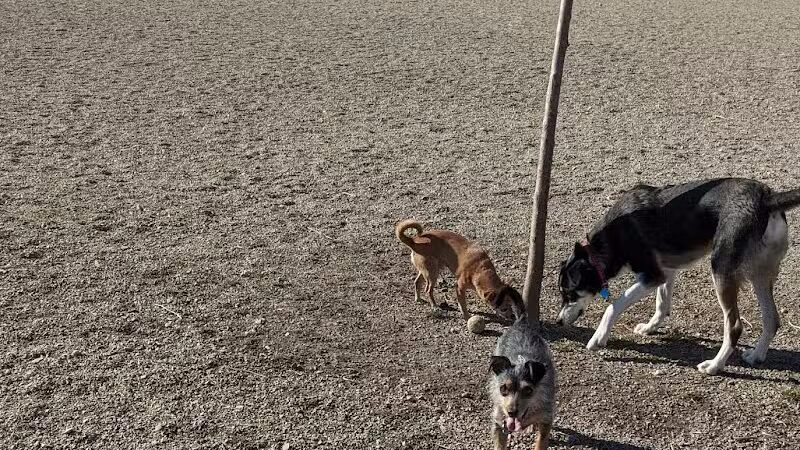 West Jordan Off-Leash Dog Park - West Jordan, UT