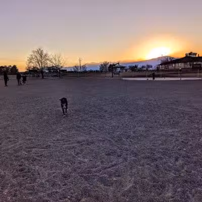 West Jordan Off-Leash Dog Park - West Jordan, UT