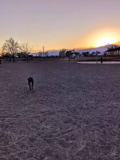 West Jordan Off-Leash Dog Park - West Jordan, UT