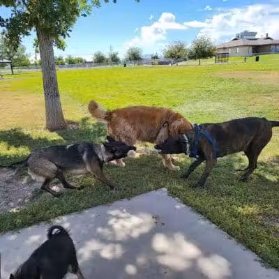 West Jordan Off-Leash Dog Park - West Jordan, UT