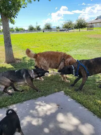 West Jordan Off-Leash Dog Park - West Jordan, UT