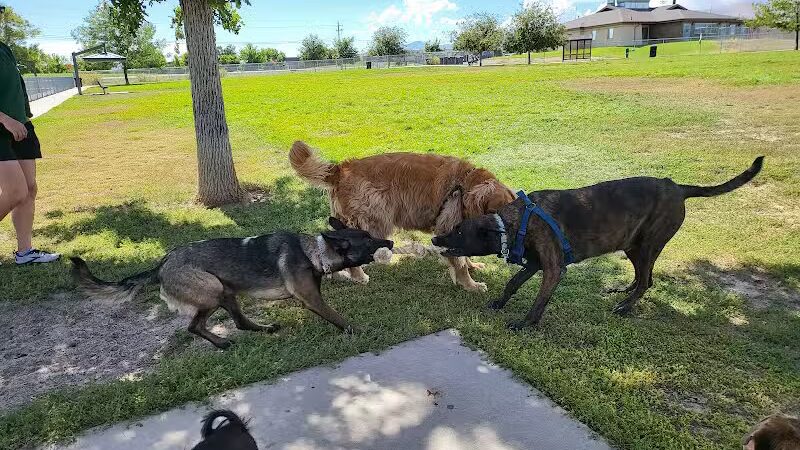 West Jordan Off-Leash Dog Park - West Jordan, UT