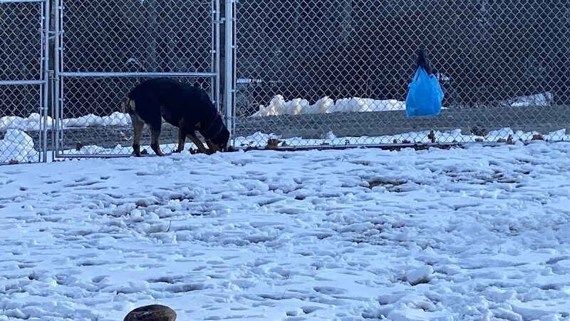 West Mifflin Dog Park - West Mifflin, PA