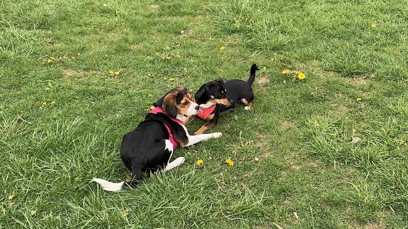 West Mifflin Dog Park - West Mifflin, PA