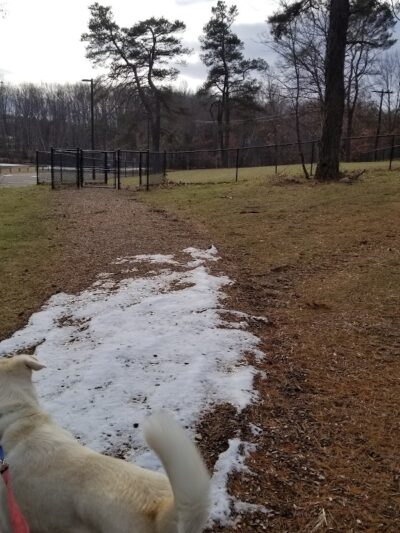 Nosenzo Dog Park - West Milford, NJ