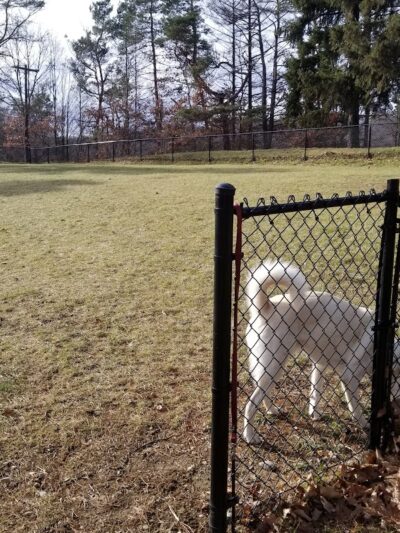 Nosenzo Dog Park - West Milford, NJ