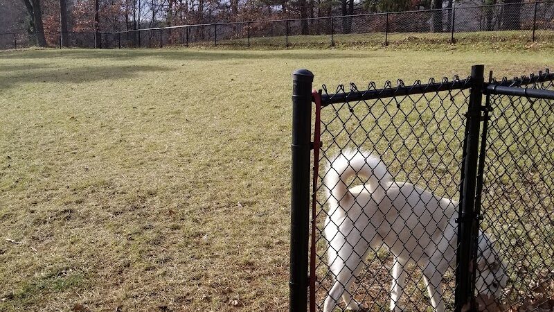 Nosenzo Dog Park - West Milford, NJ