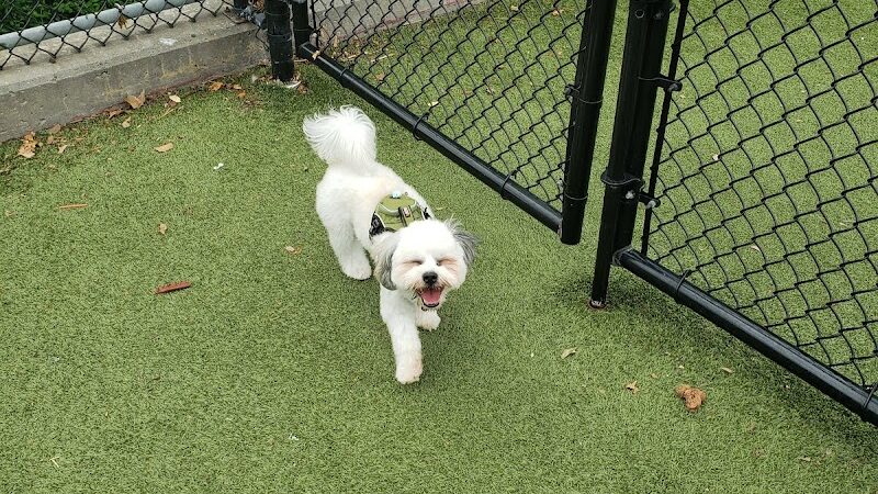 West New York Dog Park - West New York, NJ