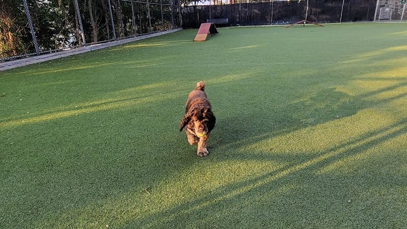 West New York Dog Park - West New York, NJ