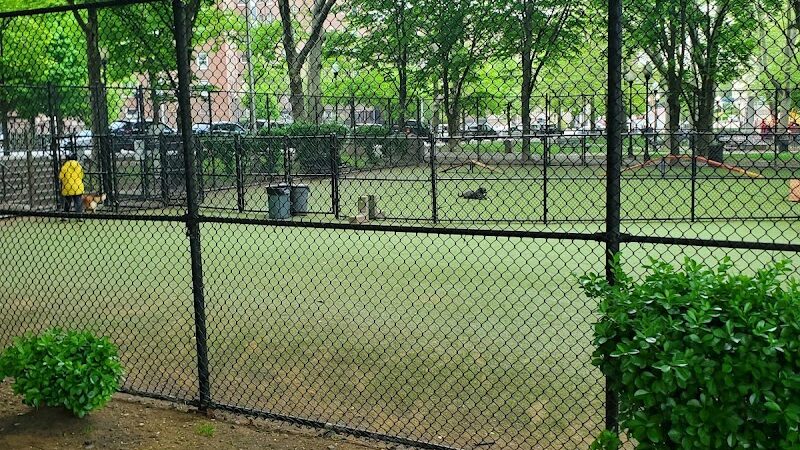 West New York Dog Park - West New York, NJ