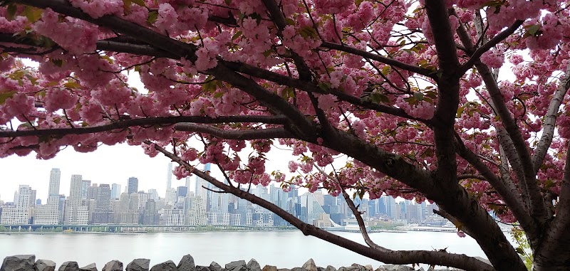 West New York Dog Park - West New York, NJ