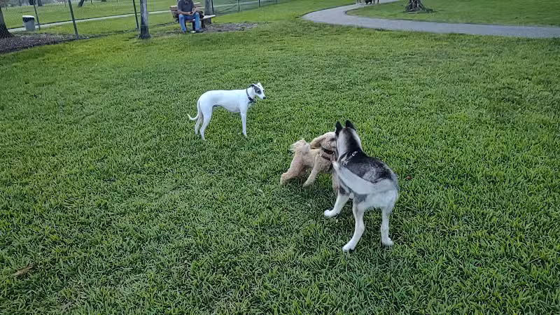 Pooch Pines Dog Park - West Palm Beach, FL