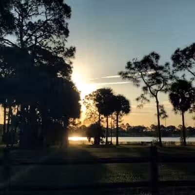 Pooch Pines Dog Park - West Palm Beach, FL