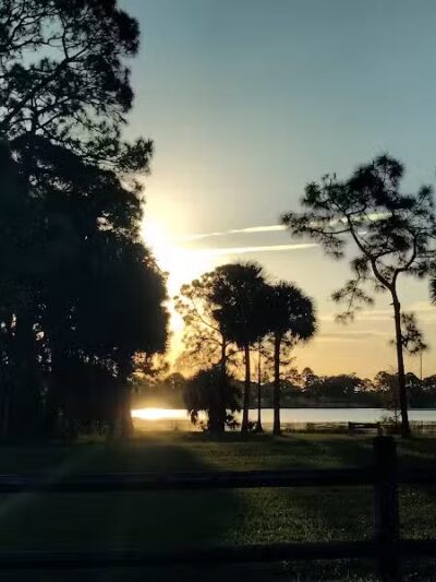 Pooch Pines Dog Park - West Palm Beach, FL