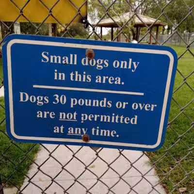 Pooch Pines Dog Park - West Palm Beach, FL