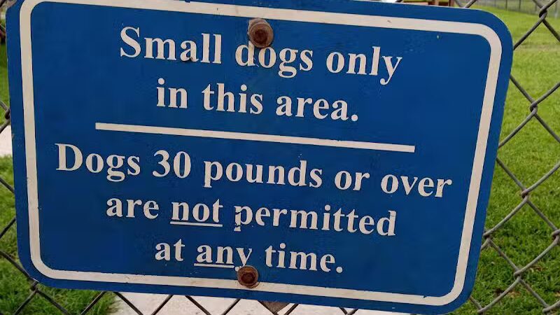 Pooch Pines Dog Park - West Palm Beach, FL