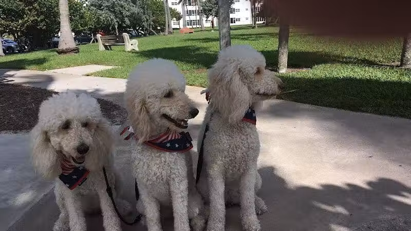 Pooch Pines Dog Park - West Palm Beach, FL