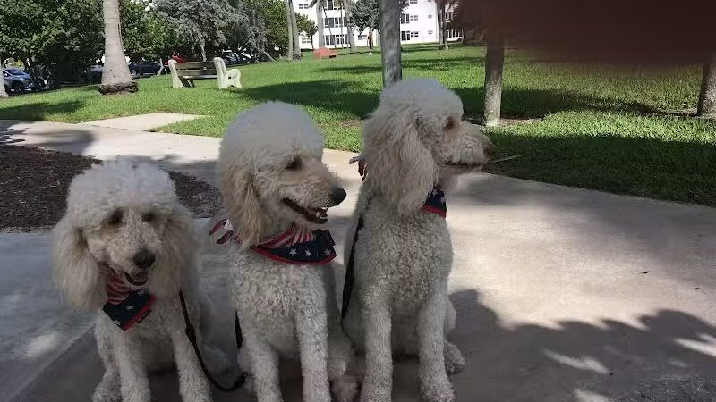 Pooch Pines Dog Park - West Palm Beach, FL