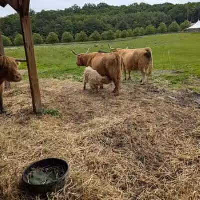June Farms - West Sand Lake, NY